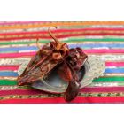 Piment sec guajillo