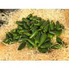 Piments jalapeños frais verts entiers