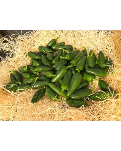 Piments jalapeños frais verts entiers