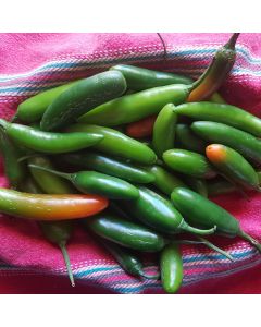 Piments serranos frais entiers